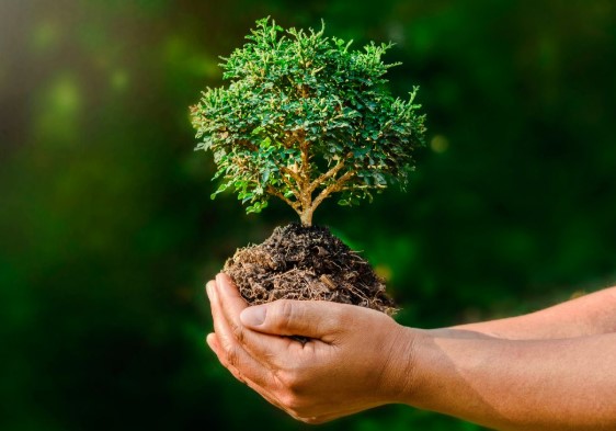 CUIDAR DEL MEDIO AMBIENTE ES TAMBIEN CUIDARNOS 